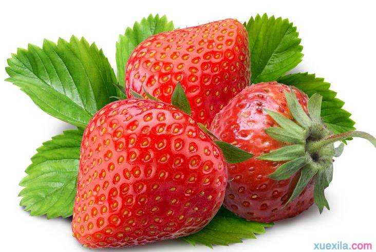 草莓英语怎么说