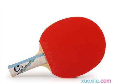 乒乓球拍用英语怎么说